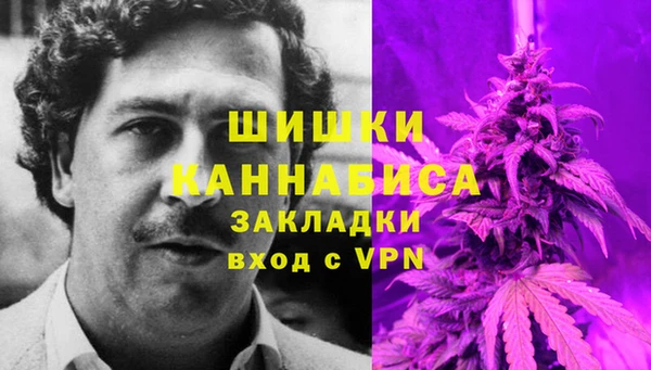 spice Абаза