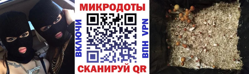 Псилоцибиновые грибы мухоморы Ужур